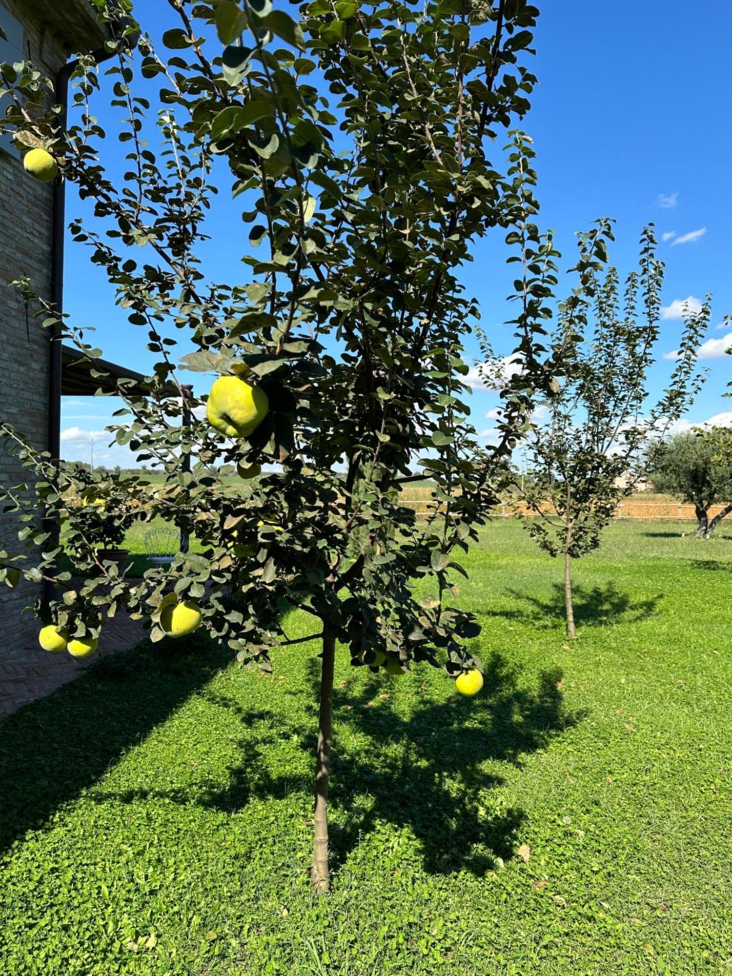 Bed & Breakfast Casaforte La Bastide Ferrara